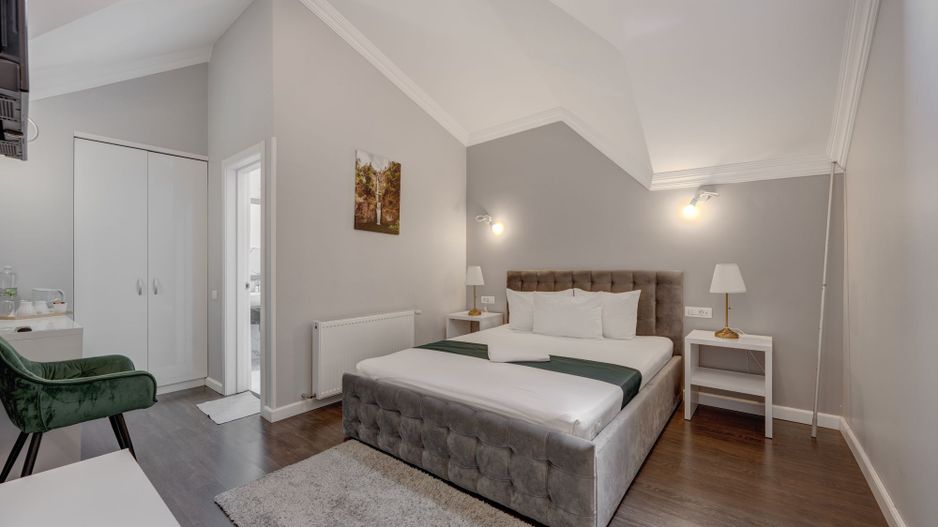 Vindem Afacerea ! Mini Hotel + Cafenea/ Restaurant ! Parcul Carol ! - Poză 60