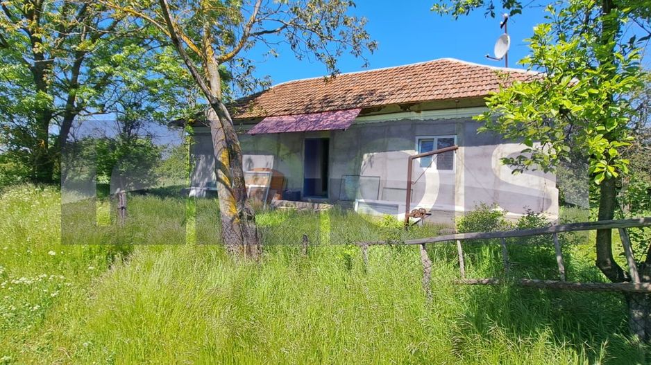 CASA TARANEASCA | TEREN 3000 MP | DESCHIDERE 52 M | COMUNA CIOLANESTI - Poză 1