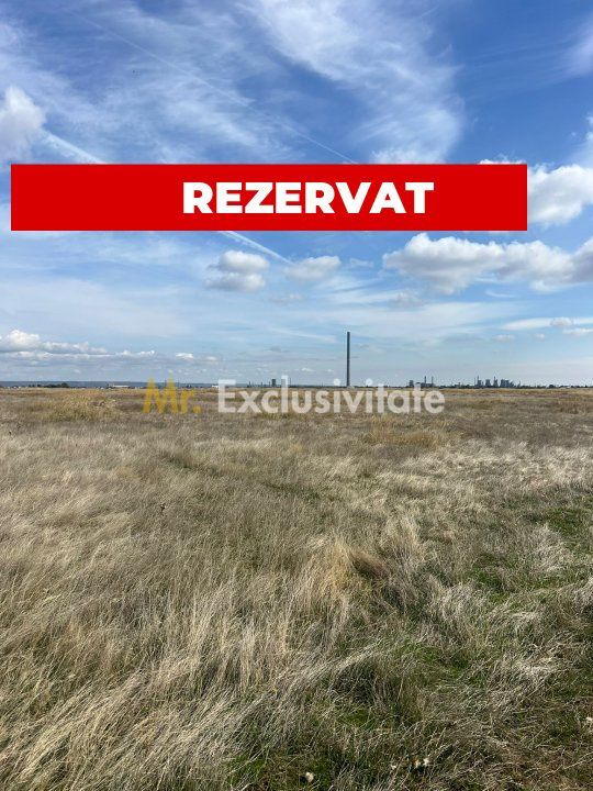 Teren 10000 mp - Albota Papillon, zona industriala in plina dezvoltare - Poză 1