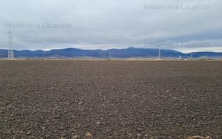 Teren Agricol 2,9 HA,intre Cristian si Vulcan/teren SPORT - Poză 3