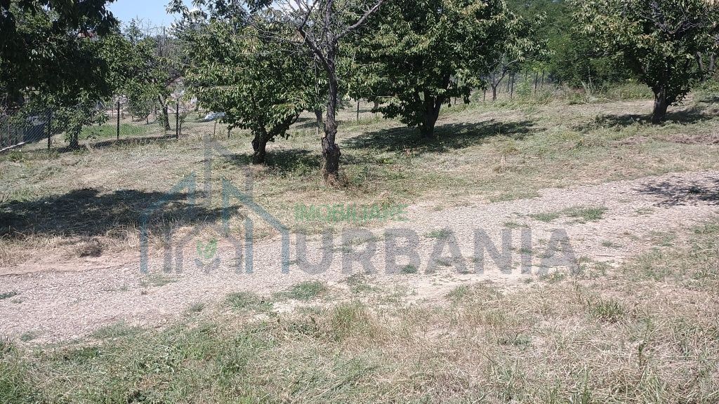 Teren Intravilan Construibil, 3000 mp, Chicerea, Utilități - Poză 3