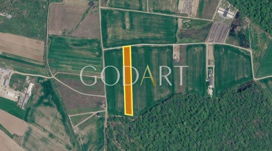 Teren 10.000 mp în Ciolpani | Deschidere la șosea | Pădurea Snagov - Poză 2