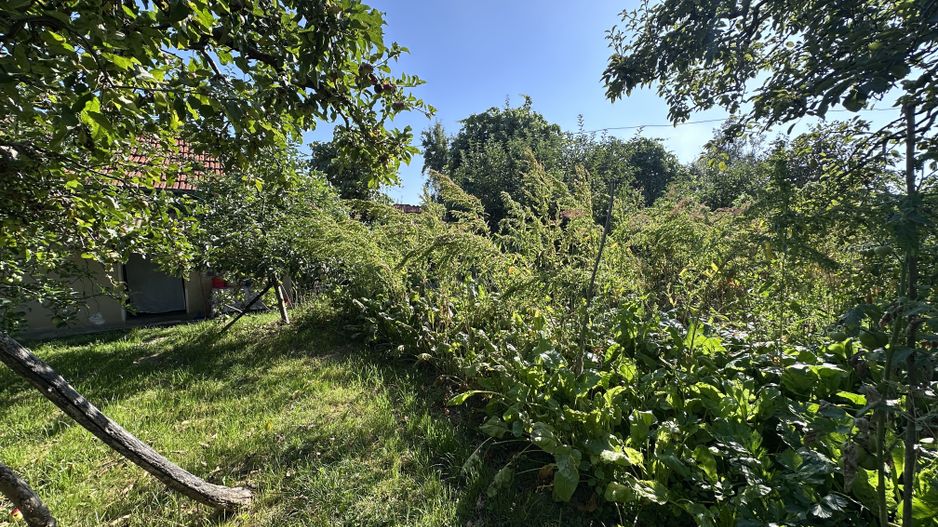 De vanzare: casa in inima unei superbe zone de deal, Valeni-Dambovita - Poză 16