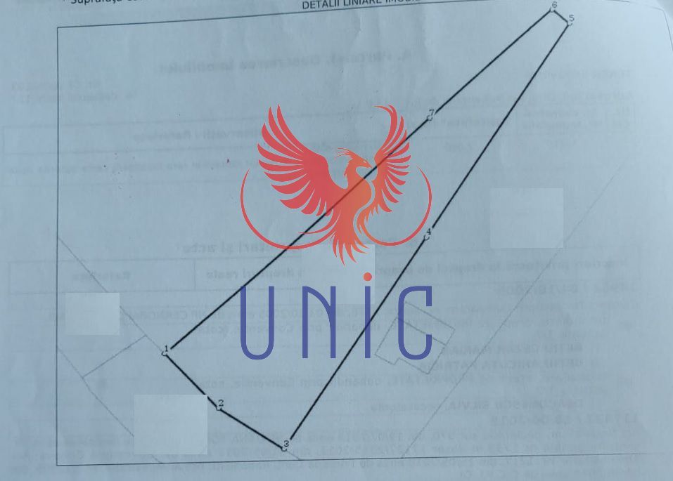 Teren intravilan-la strada principala, Robanesti - Poză 4