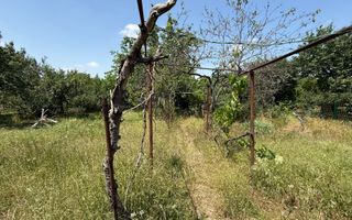 TEREN PENTRU CASA - Poză 2