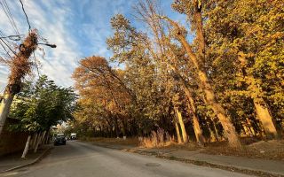 Teren de vanzare Colentina Padurea Andronache - Poză 4