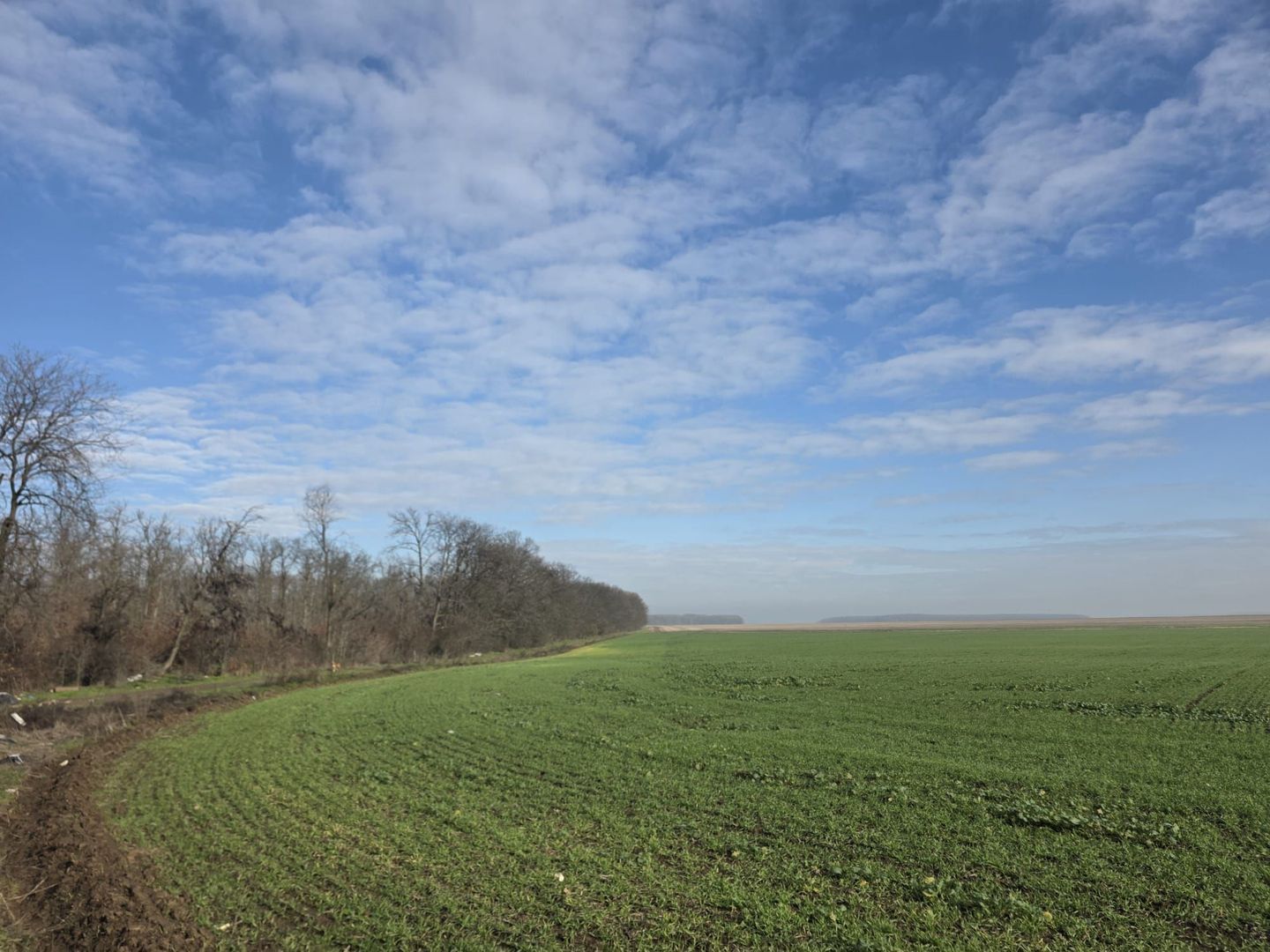 FUNDENi-Oportunitate Majoră de Investiție: 92 286mp - PRET IMBATABIL! - Poză 2