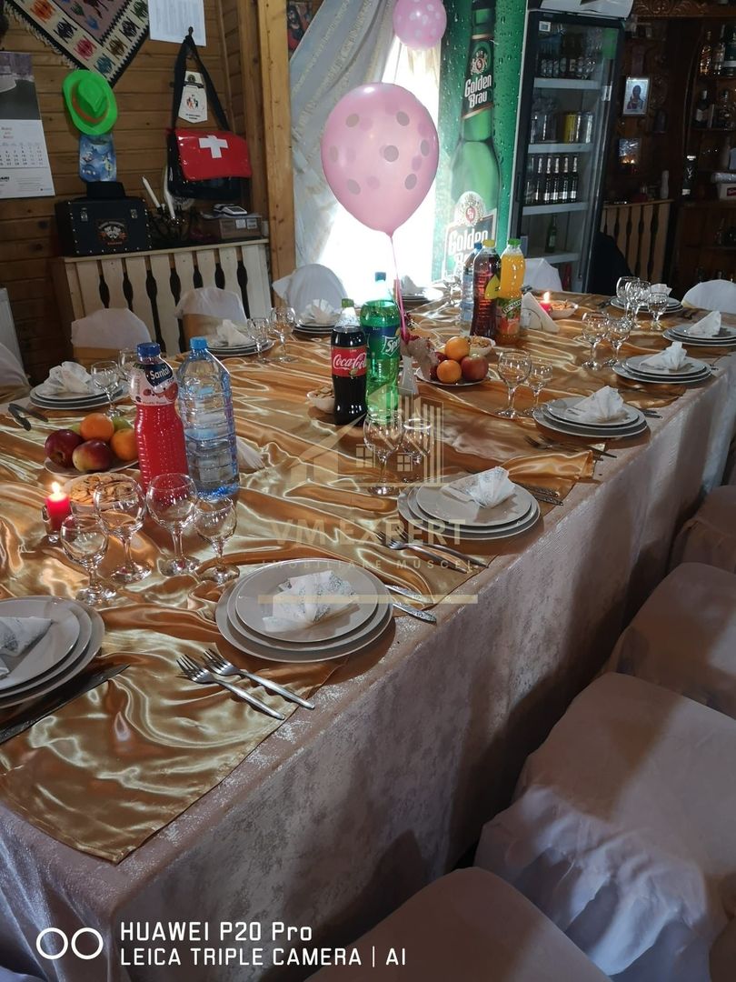 VILA - PENSIUNE CU RESTAURANT + SI TEREN 6406 MP, VALEA MARE PRAVAT, - Poză 10