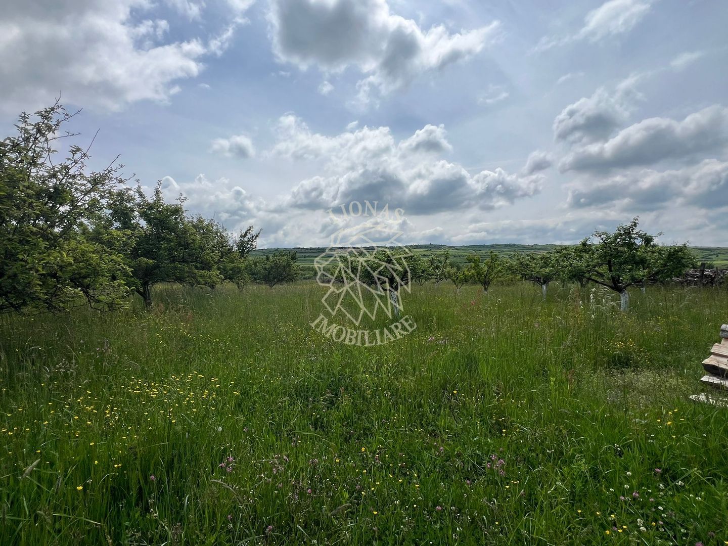 Casa 4 camere 170 mp-teren 1700 mp-Budacu de Sus, 18 km de Bistrita. - Poză 10