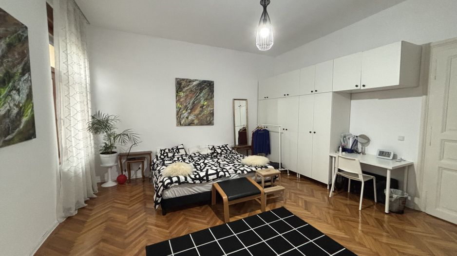 Apartament 3 camere la curte - Poză 2