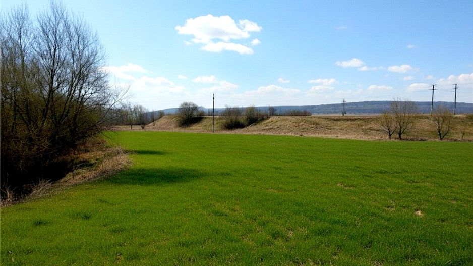 Teren 12.400 MP | 180 ml deschidere E85 | Pătrăuți | 70.000€ - Poză 3