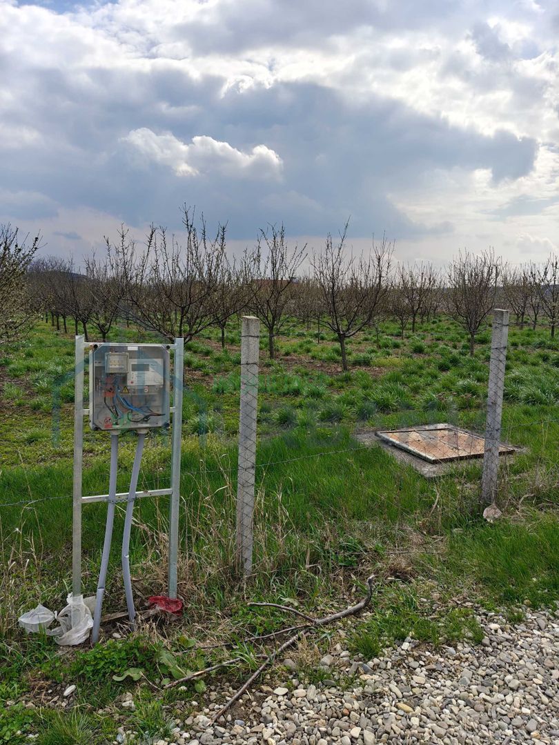 Teren intravilan de 5800 mp, sat Mădârjesti (lângă Sârca) - Poză 7