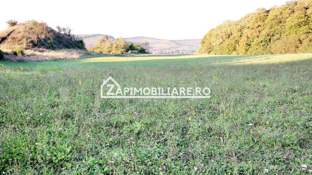 De vanzare 2 terenuri de 29.500 mp si 1.400 mp.29 euro mp - Poză 10