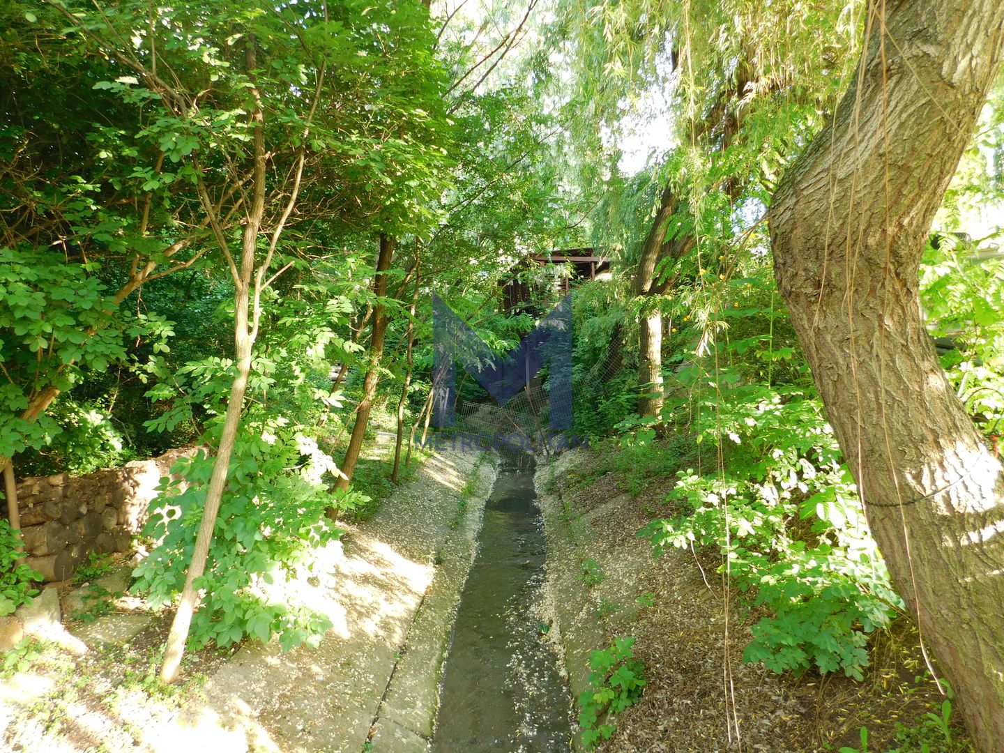 Vilă cu 1.350 mp teren în mijlocul orașului Grădina Botanică - Poză 20