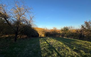 Teren intravilan 3323 Husasau de Cris - Poză 7