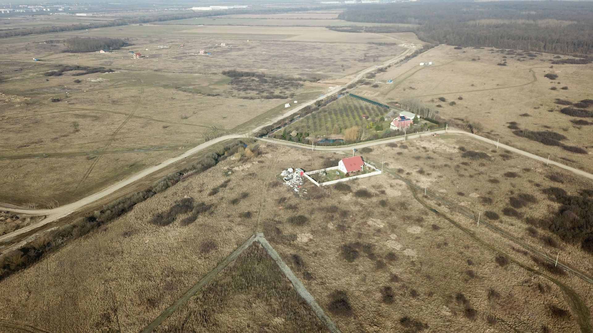 TEREN ZONA PADUREA BISTRA 879 MP - Poză 4