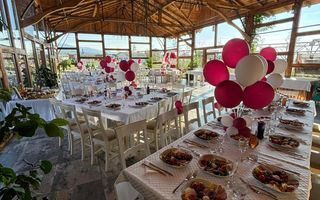 Închiriere Spațiu Comercial – Restaurant - Valea Avrigului - Poză 2