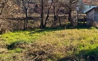 Casa 3 camere | Pivnita | Teren | Buia - Poză 8