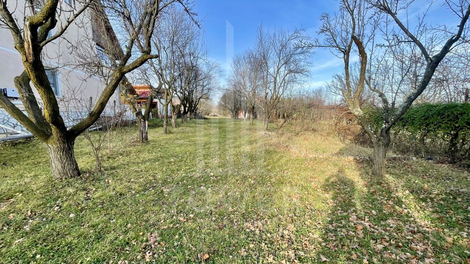 Teren intravilan 1.915 mp + cabană din lemn | Tocile – Sadu - Poză 8