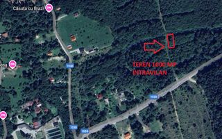 Teren 1000 mp intravilan Vistisoara - Poză 1