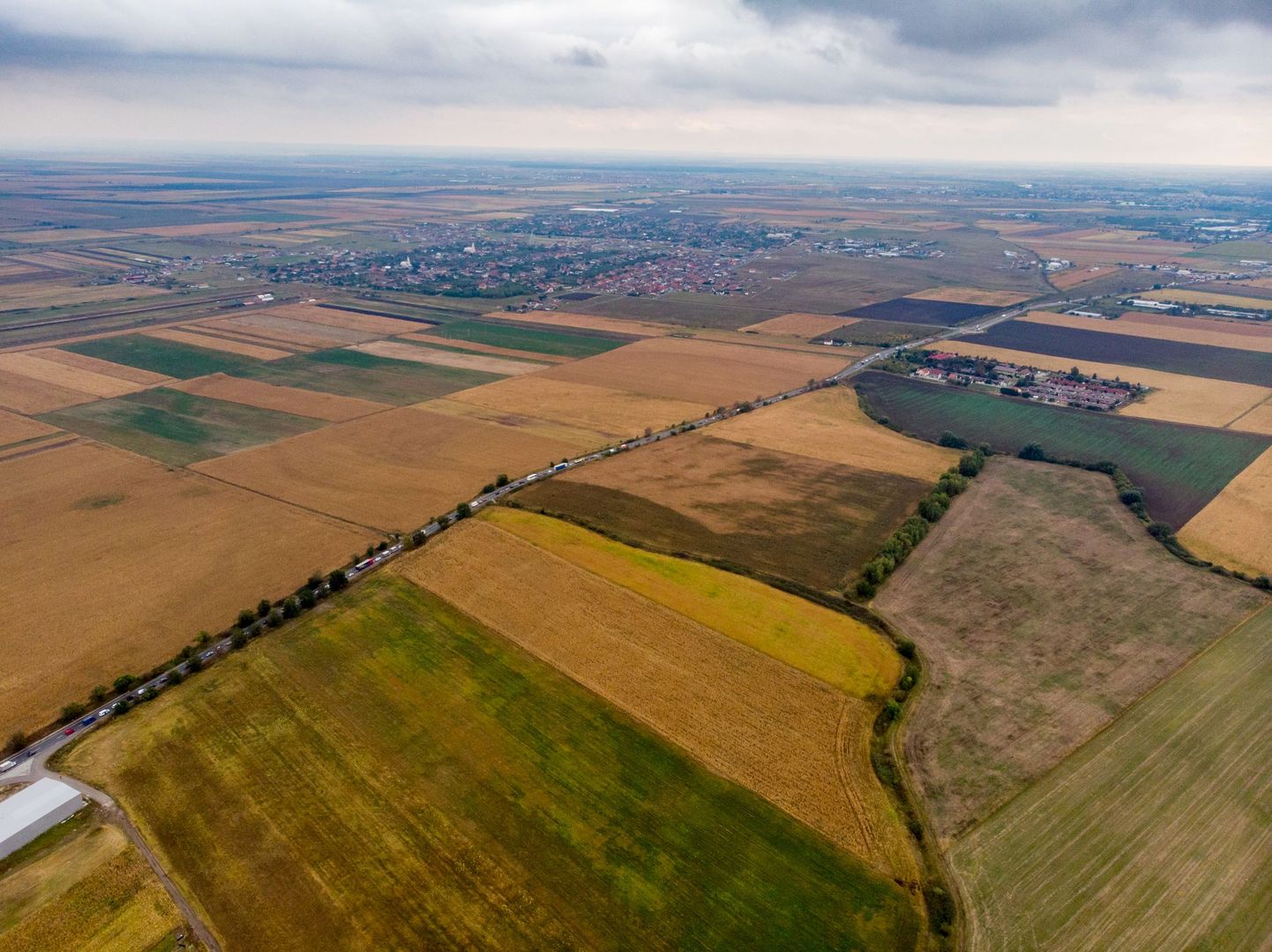 Teren de 19798mp în Zimandu Nou - Poză 2