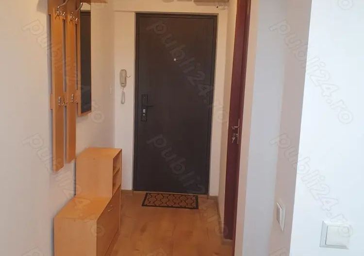 Apartament 2 cam Raul Doamnei. - Poză 5