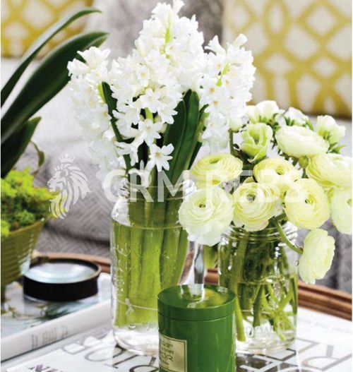 Apartament semicentral comision 0 de vanzare - Poză 9