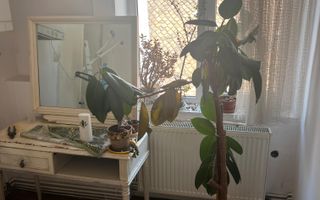 Apartament 3 camere, 94 mp utili-zona CentruI Istoric - Poză 11