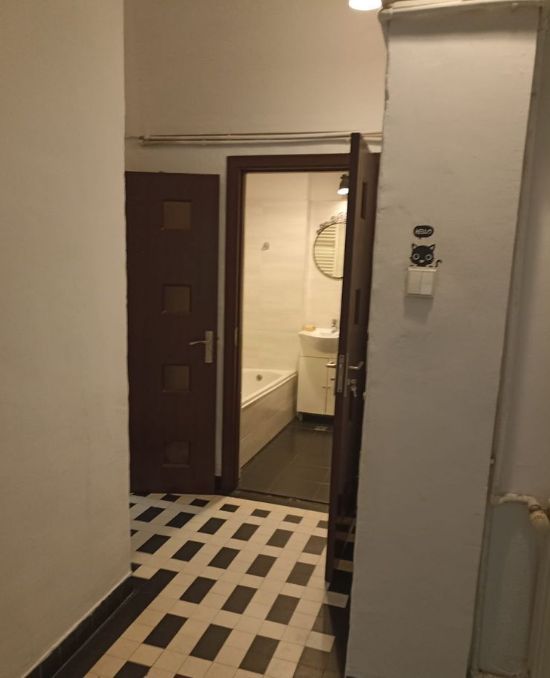 4 camere in vila | Cismigiu | terasa 10 mp + 2 boxe - Poză 11