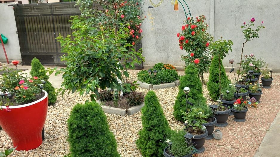 Parter cu structură pentru etaj, curte amenajată și organizare impeca - Poză 24