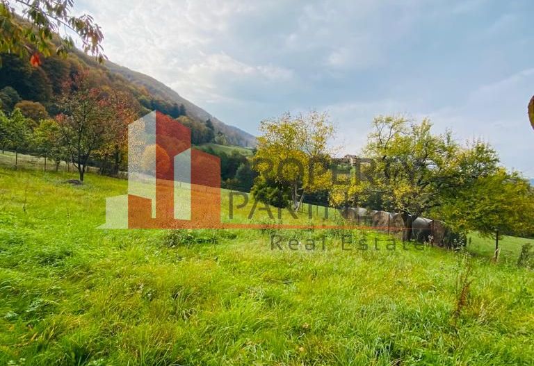 Casa + teren 1700 mp langa Padure Bran/ Predelut - Poză 5