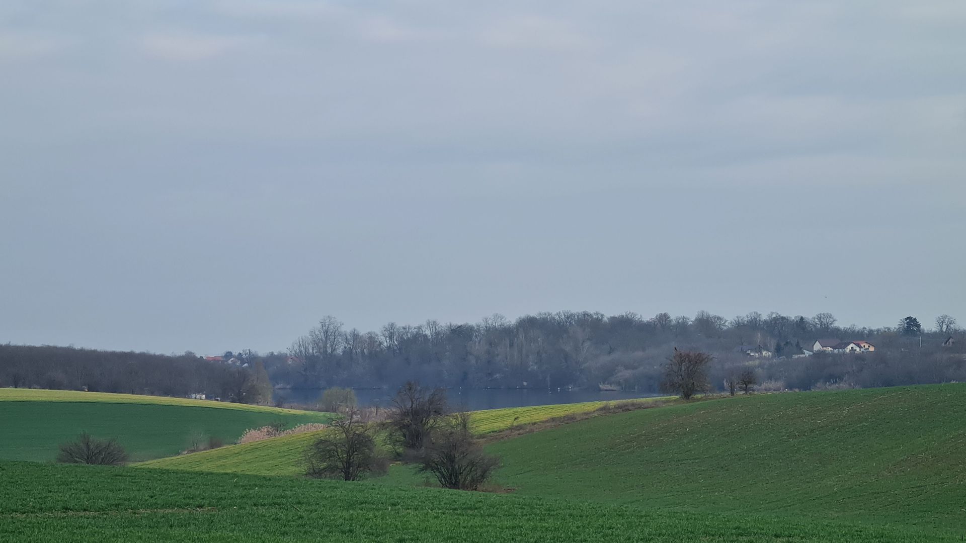 Lot 1000 mp in umbra padurii cu view la lacul academiei din Caciulati - Poză 2