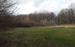 Teren Extravilan 4.572mp | Zonă liniștită | Sadu - Poză 2