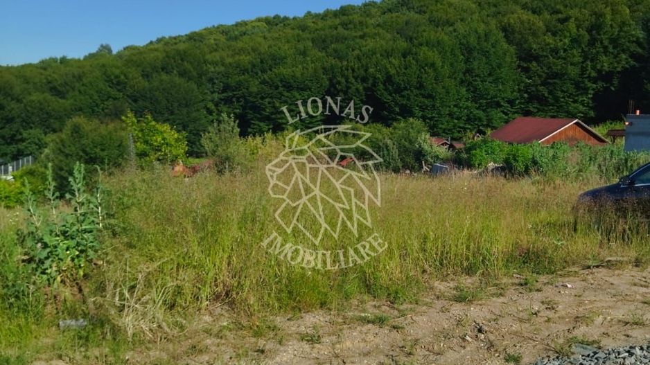 Teren 990 mp-ideal casa/casa de vacanta-panoramic-Zona Dealul Jelnei - Poză 2