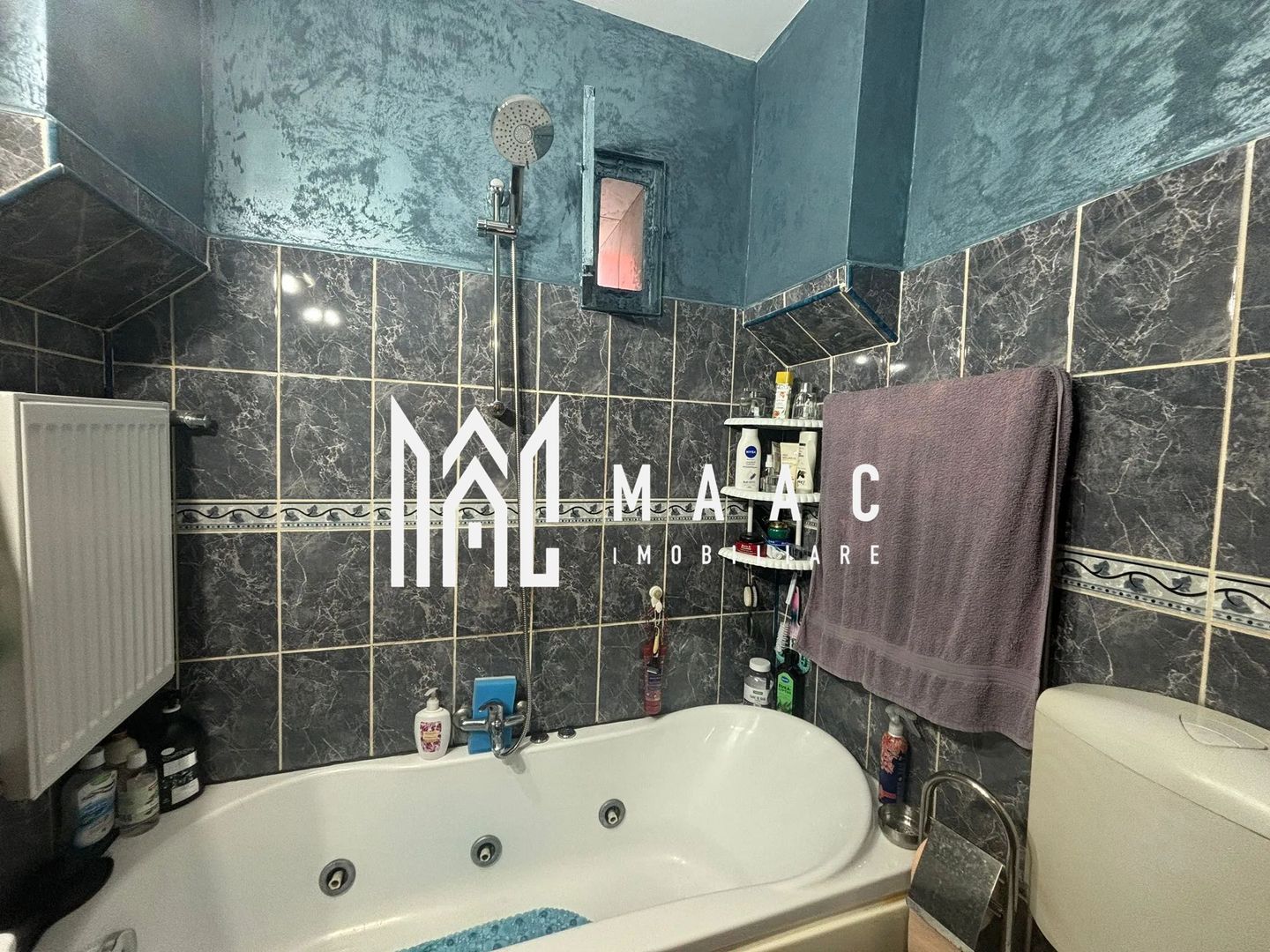 Casa Individuala | 150MPU | 494MP Teren | Sura Mare - Poză 12