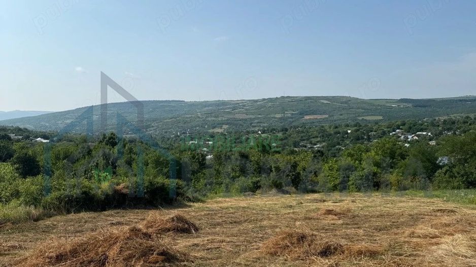 Teren intravilan de vanzare in Comarna, 4200 mp, asfalt si curent la limita, 20 km de Iasi - Poză 2