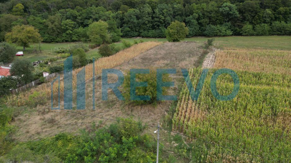 Teren intravilan lângă pădure, Racova - Poză 5