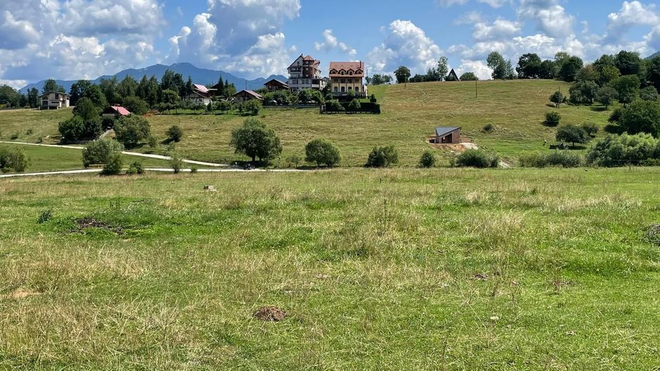 INVESTIȚIE | Teren 5000 mp PUZ APROBAT intravilan - zona Sohodol -Bran - Poză 8
