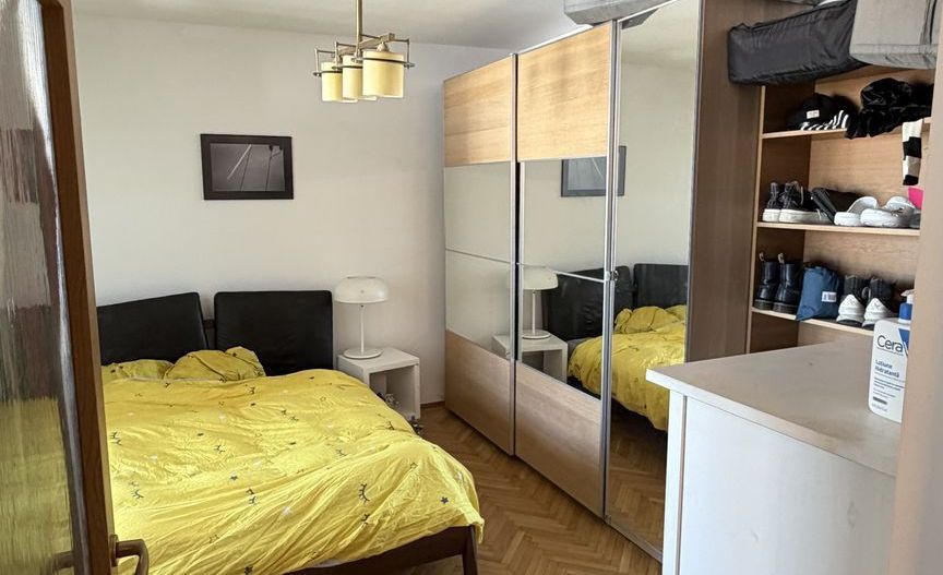 Apartament ultracentral Crisana // Cismigiu - Poză 6