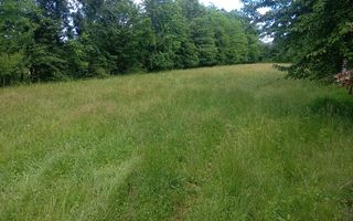 teren 1773 mp | Prahova | Banesti | Urleta | Campina - Poză 1