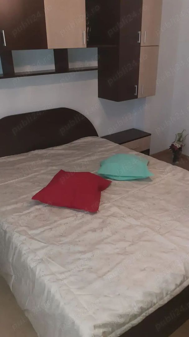 Apartament Timpuri Noi/Radu Vodă - Poză 4