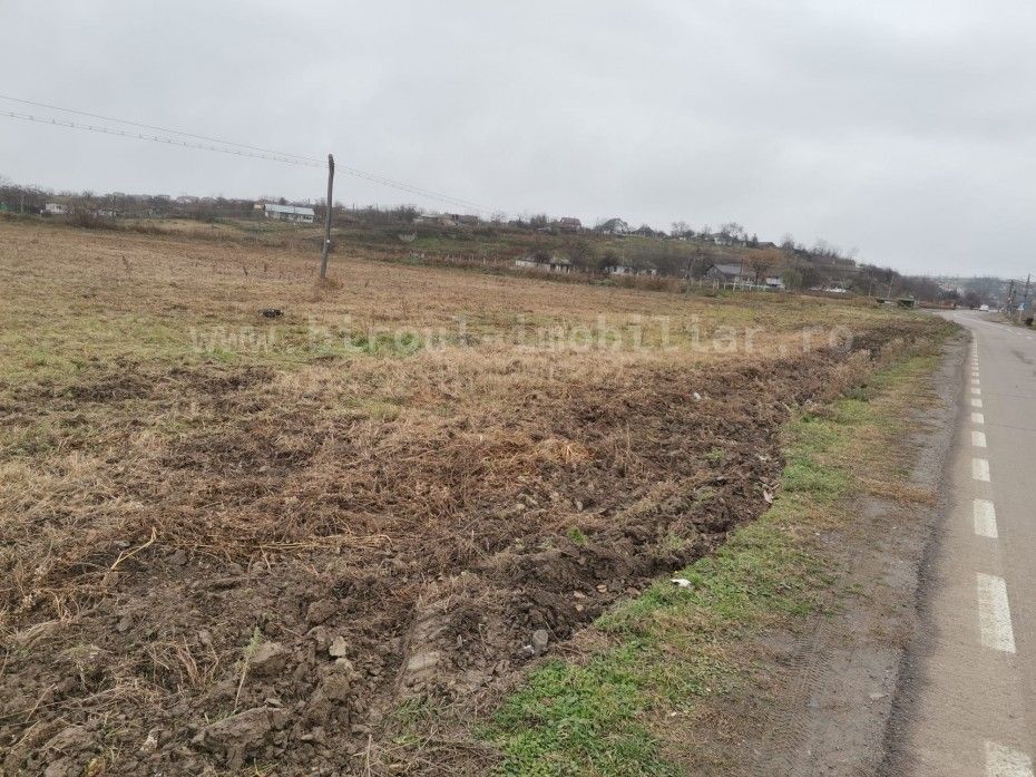 0% Comision -Teren Intravilan – 17.000 mp , Tulcea - Pret Redus! - Poză 3