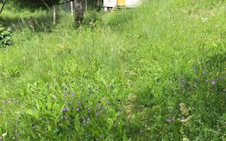 Vanzare teren intravilan cu utilitati trase, Babana - Poză 2