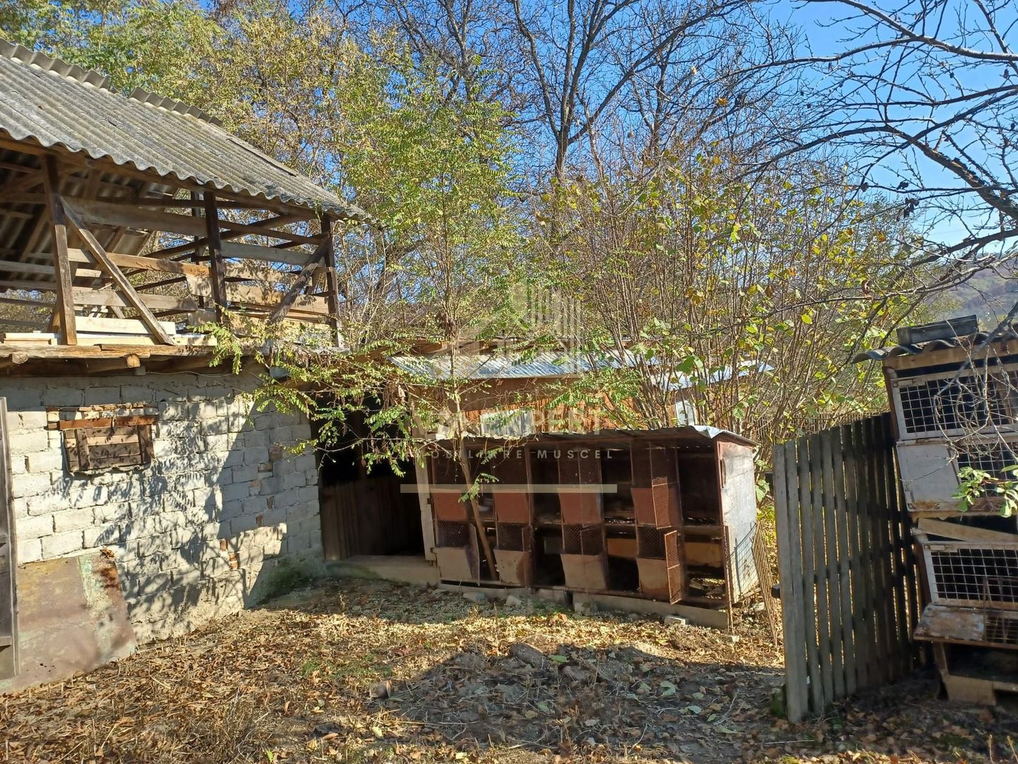 CASA 3 CAMERE, TEREN 1500 MP, VULTURESTI, ARGES - Poză 8