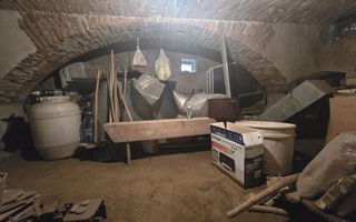 Casa 4 camere 2487 mp teren Arpasu de Jos - Poză 7