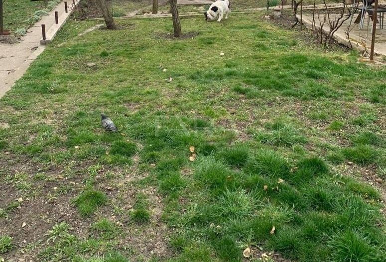 Oportunitate rară! Casă cu teren generos în zona Grand Hotel Italia - Poză 1