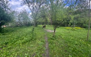 TEREN INTRAVILAN 7018 MP CAMPULUNG - Poză 26