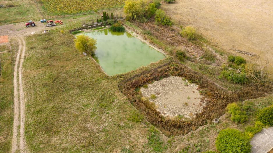 Teren intravilan cu iazuri și casă - Chișineu-Criș - Poză 7