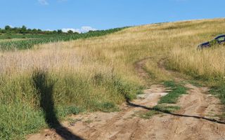 Teren intravilan, Șura Mare!! - Poză 2