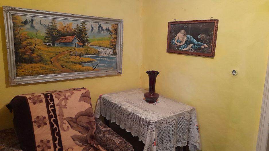 Casă cu teren de 1.470 mp de vânzare – Fântânele, Scânteiești - Poză 19
